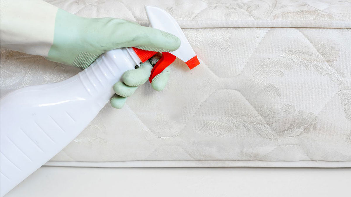 Cleaning mattress mold